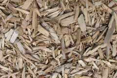 biomass boilers Camaghael